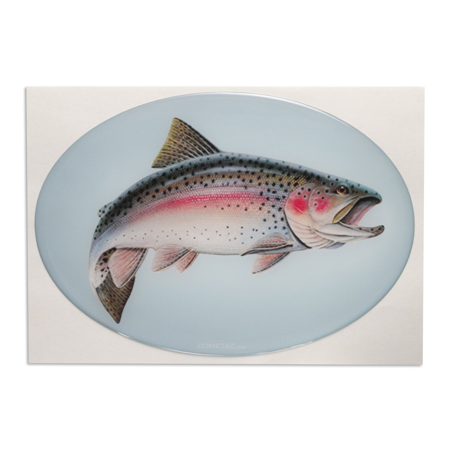 Fish - Car Bumper Bubble Sticker