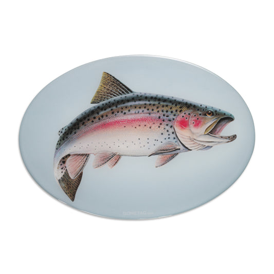 Fish - Car Bumper Bubble Sticker
