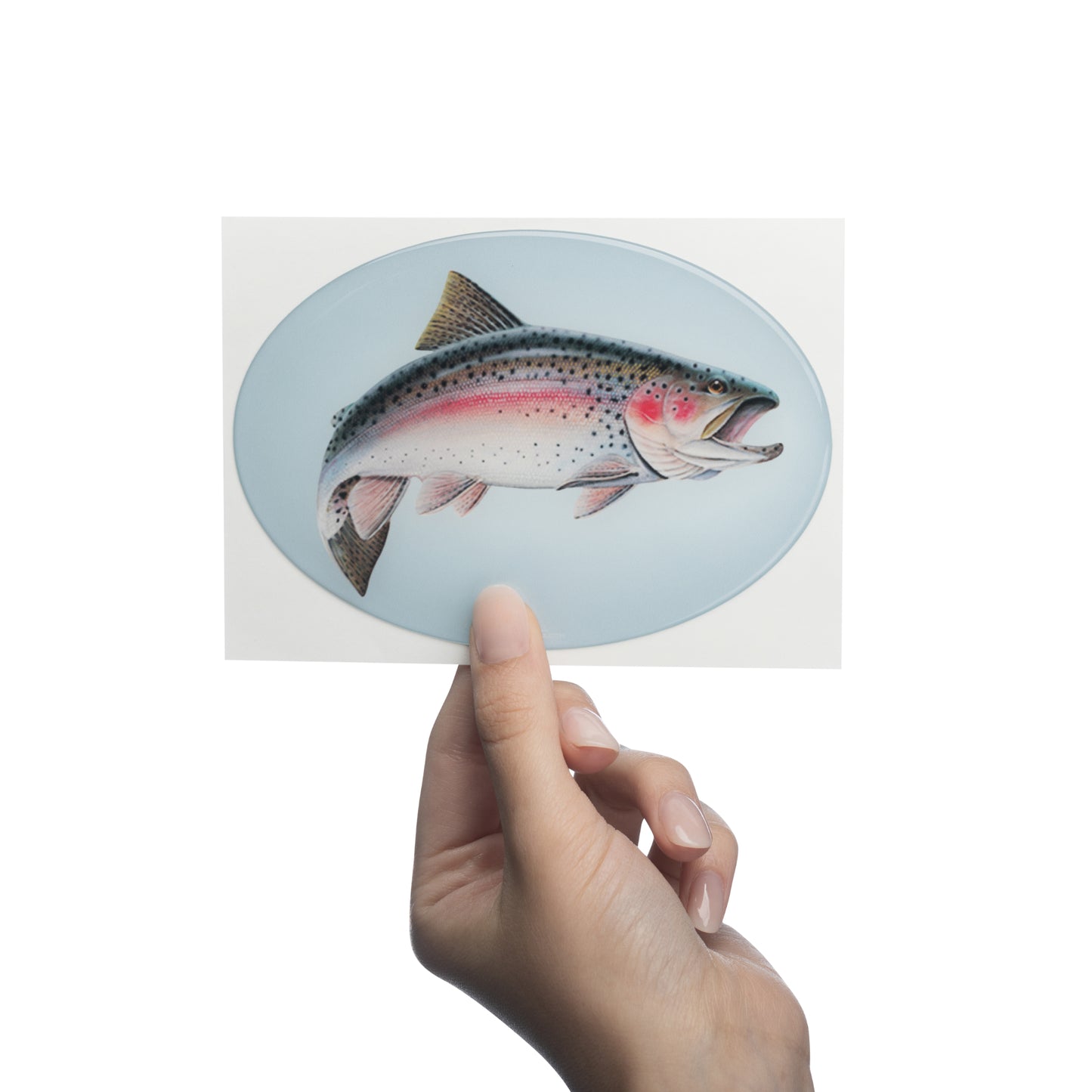 Fish - Car Bumper Bubble Sticker
