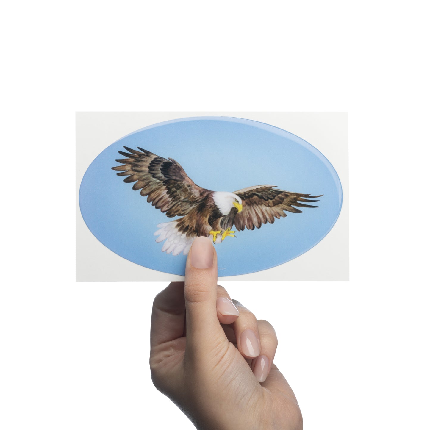 Eagle - Car Bumper Bubble Sticker
